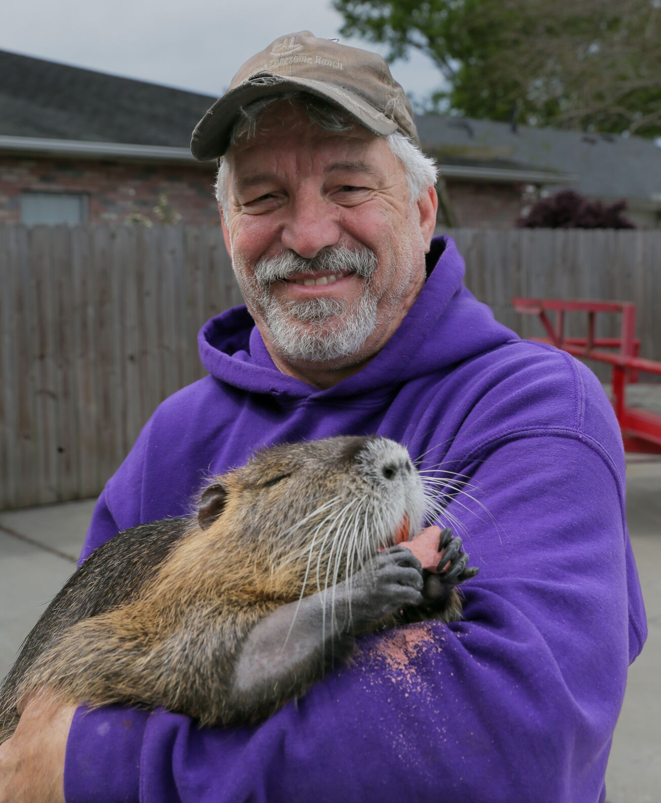Neuty the pet nutria